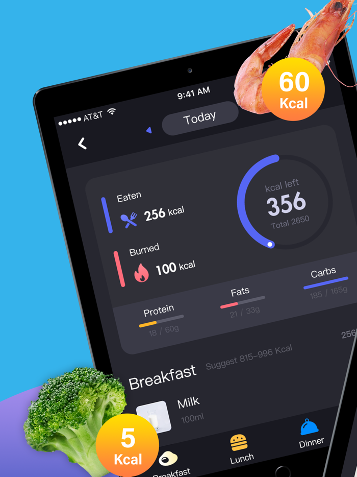 Nutritionist -- Food Diary