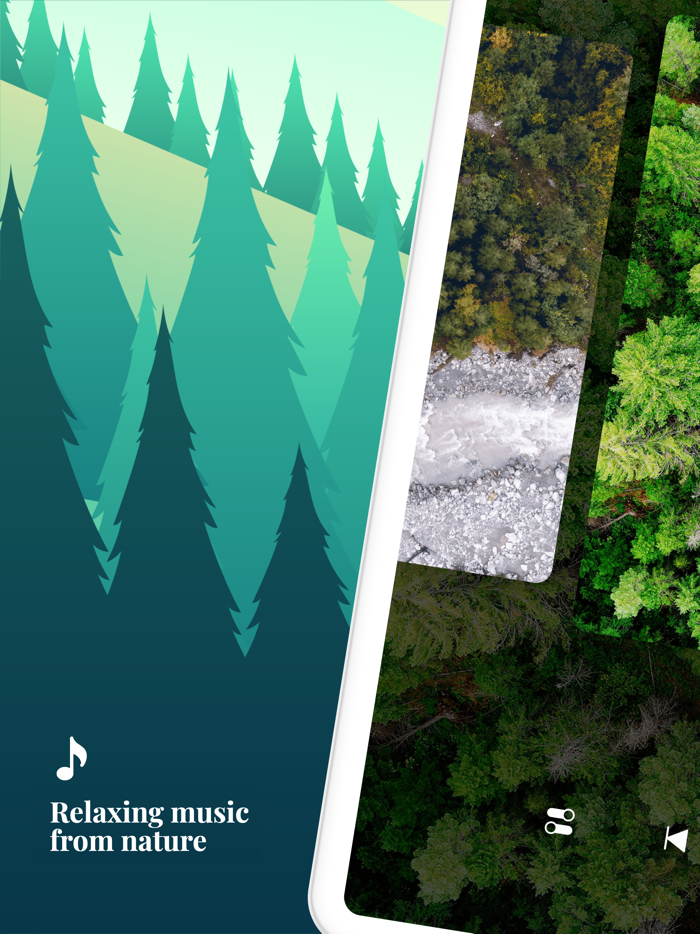 Forest Sounds - Chill  Relax