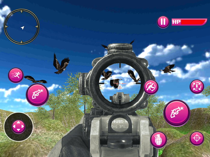 Birds Hunting Adventure