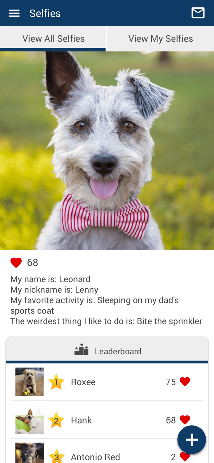 Randall Veterinary Hospital