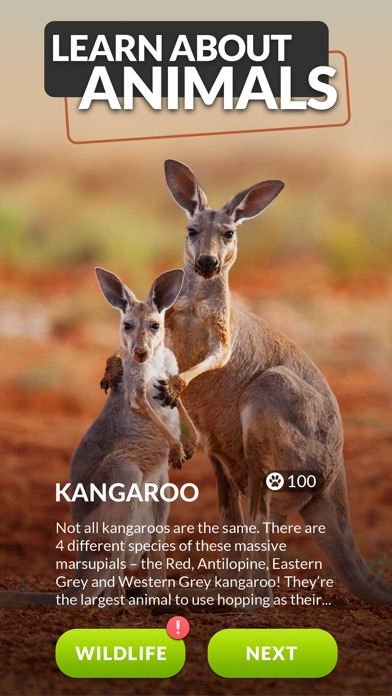 Words and Animals - Crosswords Hack screenshot 2 - game app interface