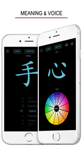 Game screenshot Chinese Words & Writing hack