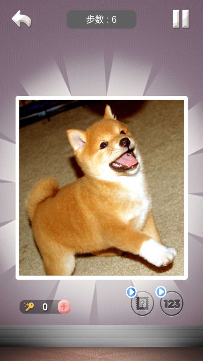 我爱拼图-脑力大比拼