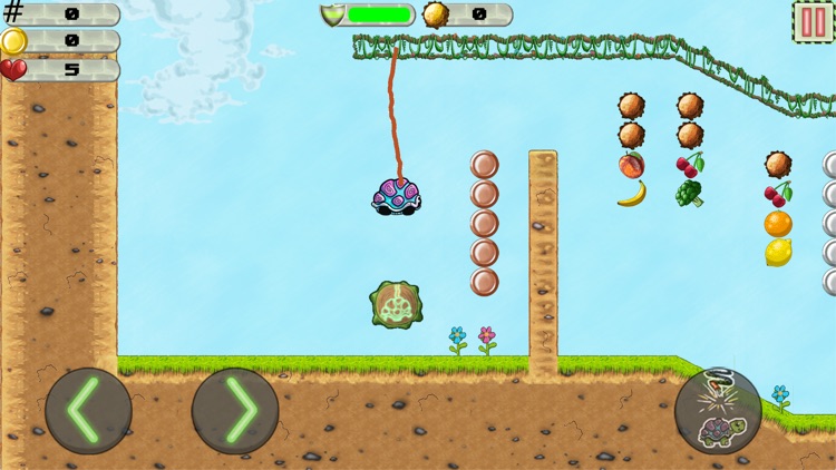 Bungee Turtle screenshot-0