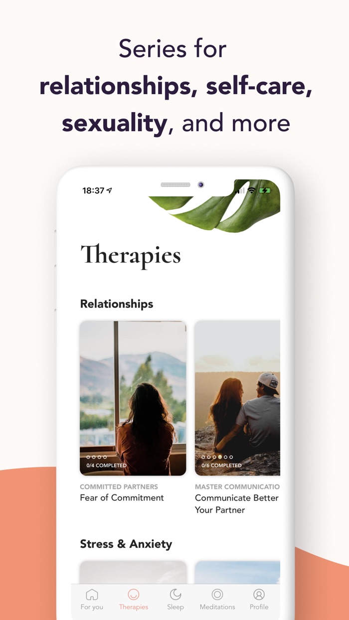 Sheen CBT Therapy, Meditation