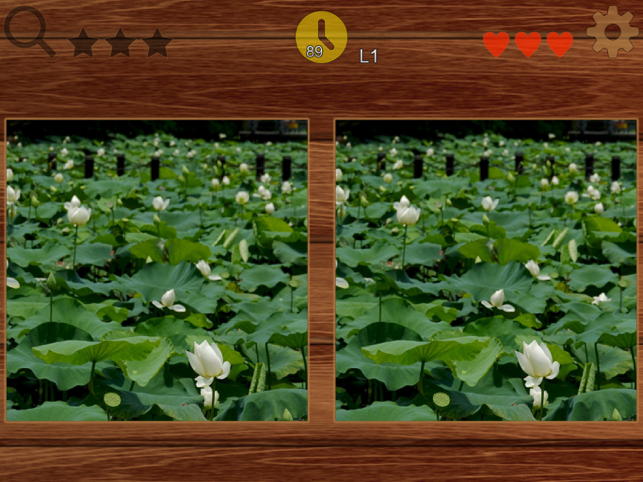PicFind - Намерете различна екранна снимка