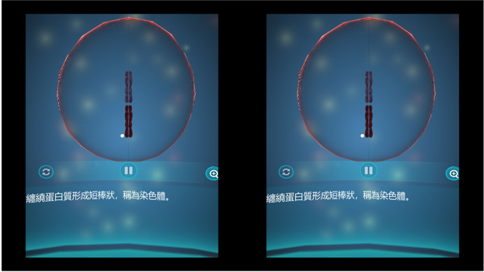 細胞分裂、減數分裂與生物的遺傳