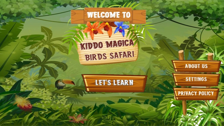 Birds Safari