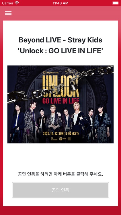 Stray Kids Light Stick