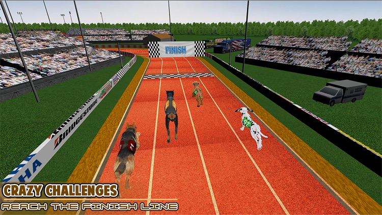 Dog Race Greyhound 3D screenshot-5