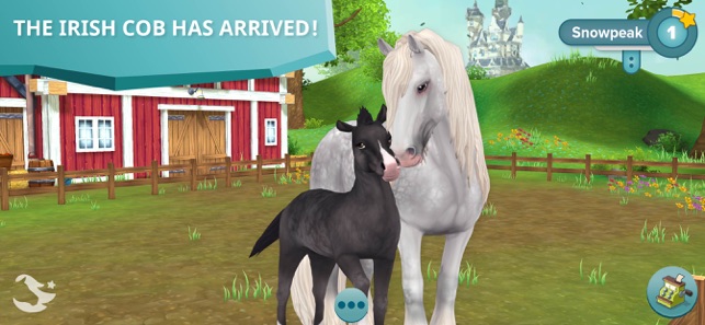 star stable store