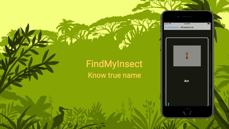 FindMyInsect screenshot-3