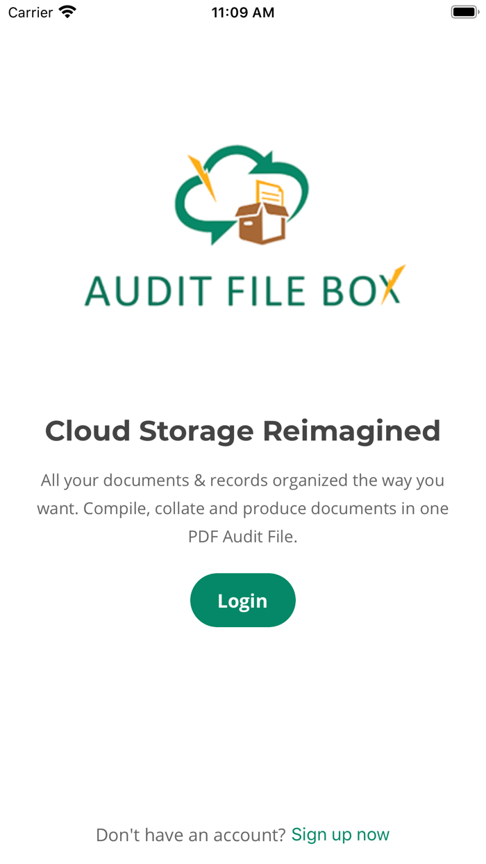 Audit File Box