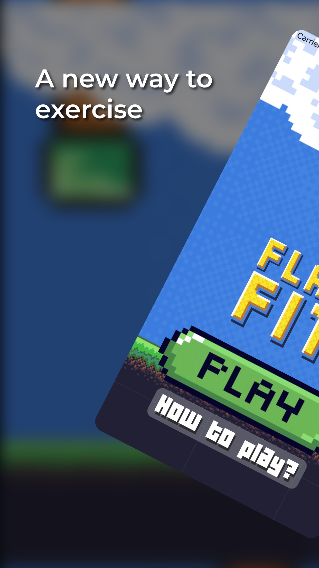 Screenshot do app Flap Fit