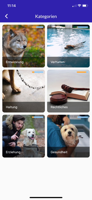 Hundekunde Pro(圖3)-速報App