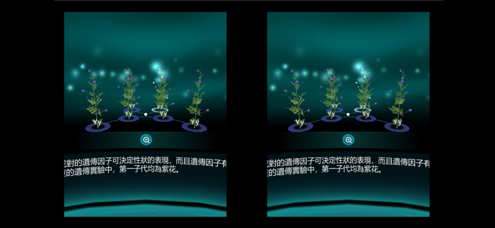 細胞分裂、減數分裂與生物的遺傳