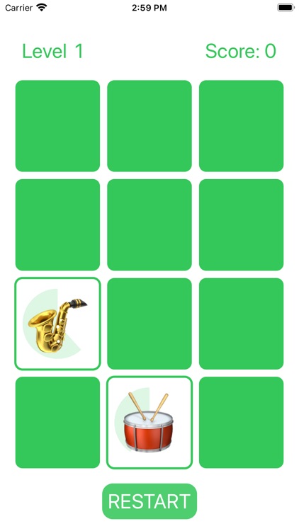 Memorize -  Concentration Game screenshot-3