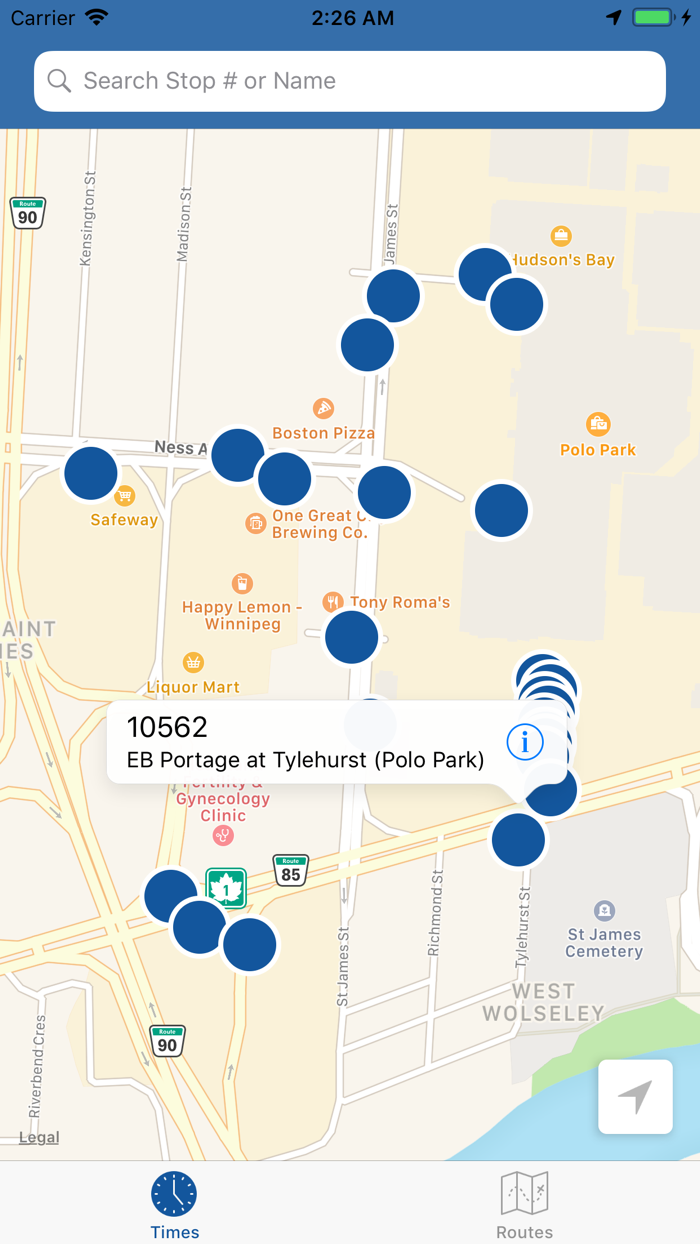 Winnipeg Transit Bus Live RT