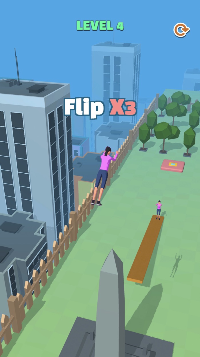Seesaw Flip