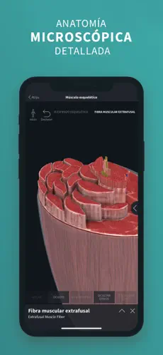 Screenshot 4 Complete Anatomy ‘21 iphone