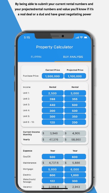Navid Moosa REI Calculator