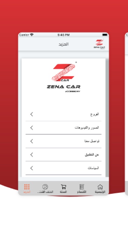 zena car screenshot-3