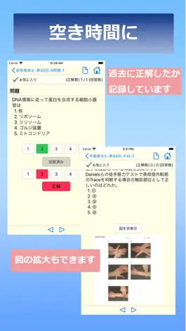 Game screenshot 国家試験対策アプリ千本ノック！LITE hack