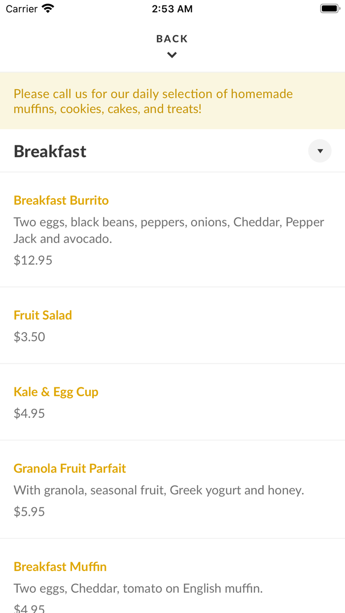 Apiary at the Library