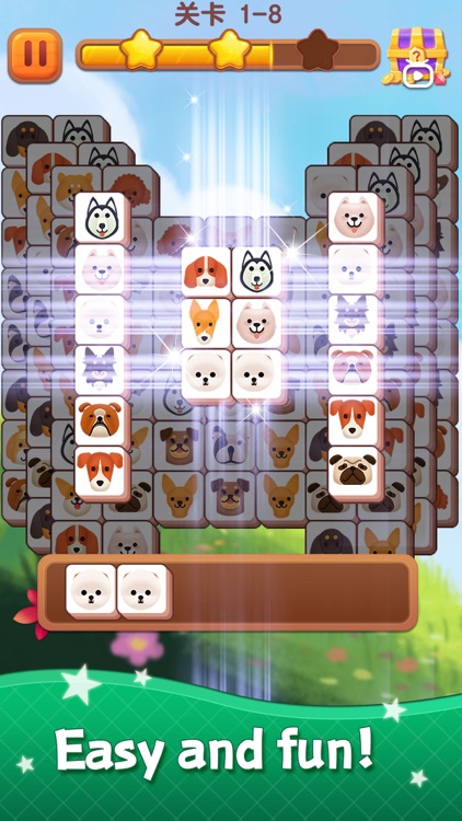 Animal Master-Fun Match screenshot-4