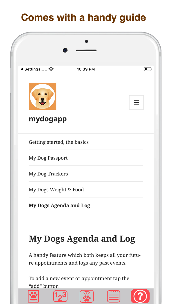 My American Pit Bull Terrier