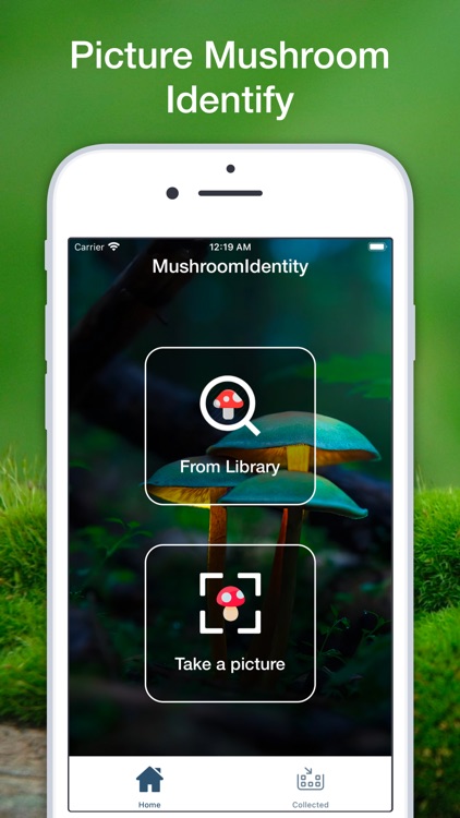Mushroom Fungus Identifier AI