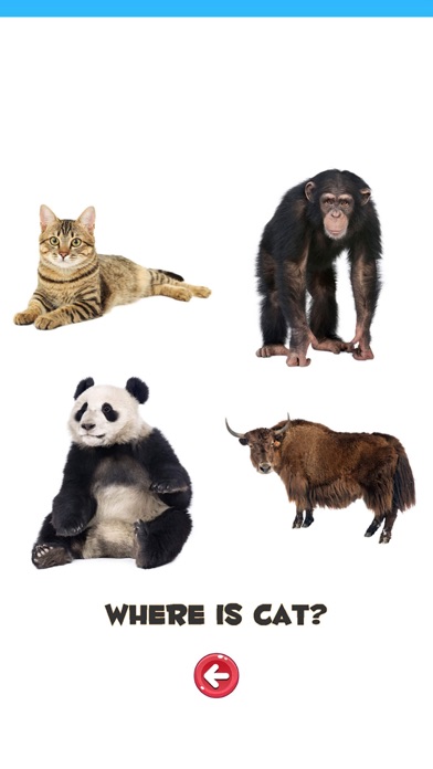 Learn the Animals Phonetic screenshot 4