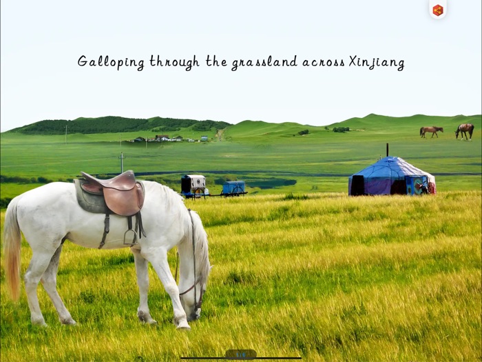 Grassland Land