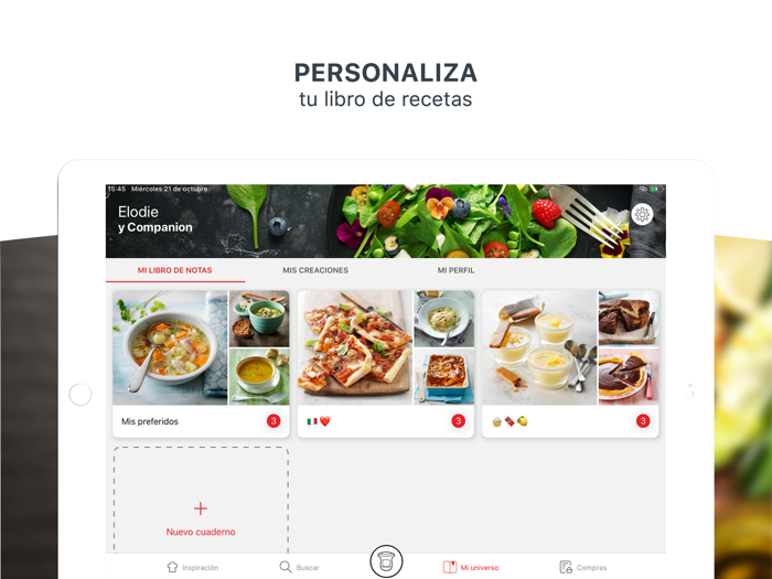 Companion de Moulinex