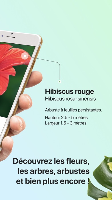 PictureThis-Identifier Plantes PictureThis-Identifier Plantes