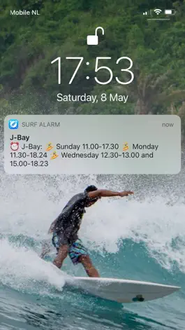 Game screenshot Surf Alarm: Forecast Alerts mod apk