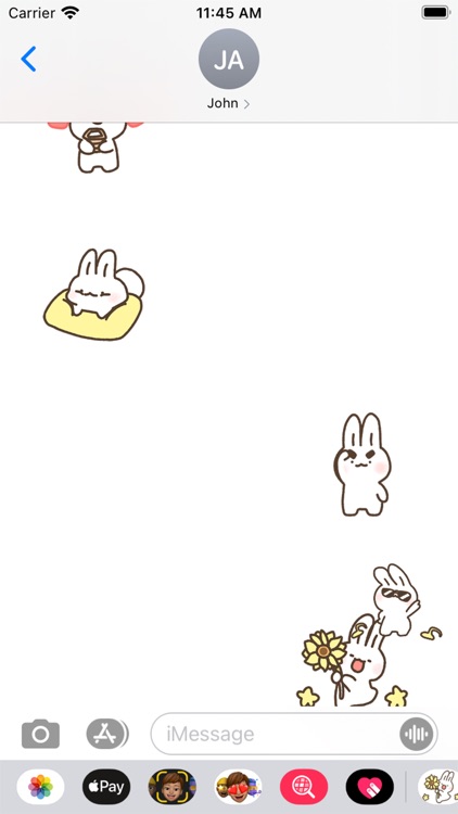 A Littel Mochi Rabbit 1