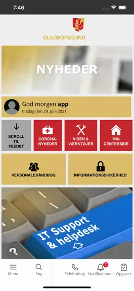Game screenshot Guldborgsund intranet mod apk
