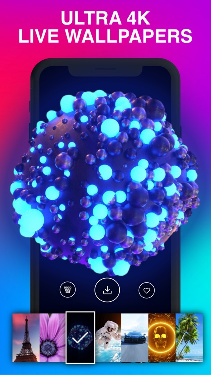 Yo! Live Wallpaper 4K Connect