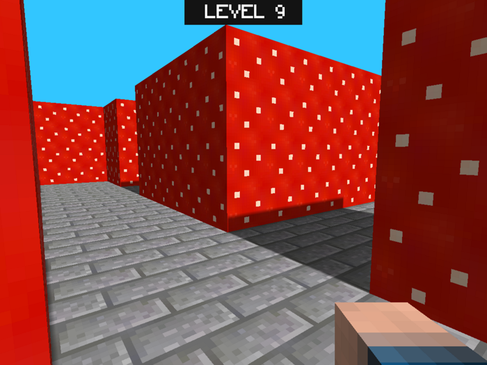 Multicraft Maze 3D