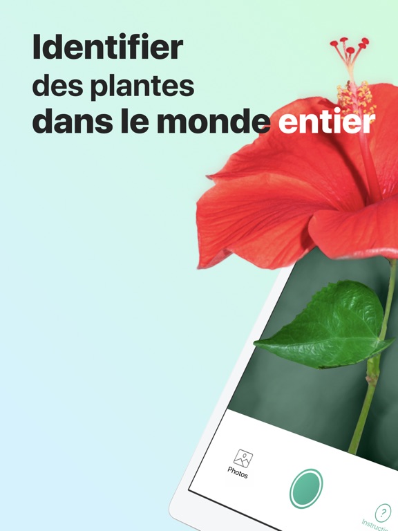 PictureThis-Identifier Plantes PictureThis-Identifier Plantes