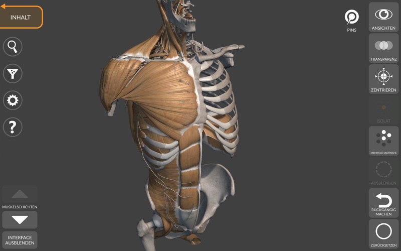 3D-Anatomie für Künstler 2022