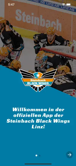 Game screenshot Steinbach Black Wings Linz mod apk