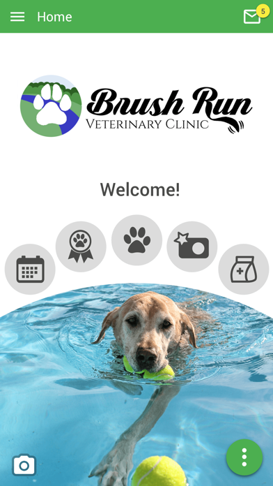 How to cancel & delete Brush Run Vet Clinic from iphone & ipad 1