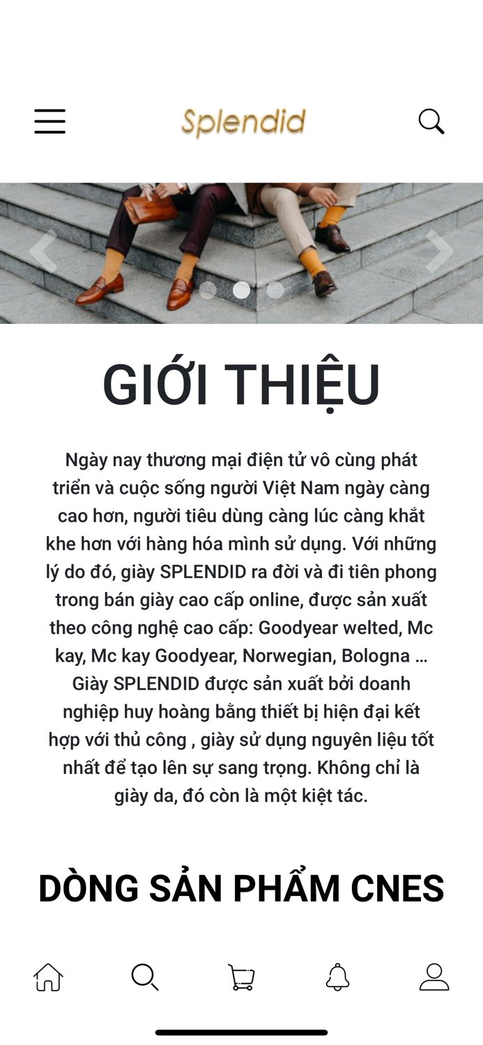 Luxury Splendid Shoes