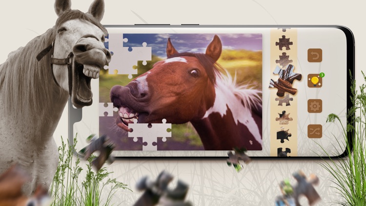 Jigsaw Puzzle Horses Edition screenshot-4