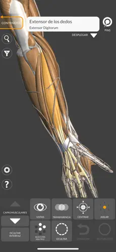Captura de Pantalla 10 Anatomía 3D para el artista 2 iphone