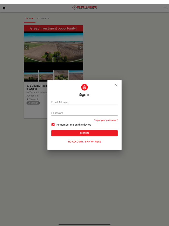 TH Real Estate  Auction