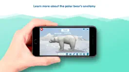 Game screenshot Polar Bear PORA apk