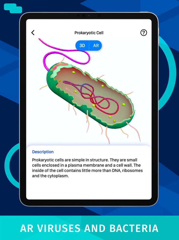 Bacteria AR Zoom Cell Anatomy